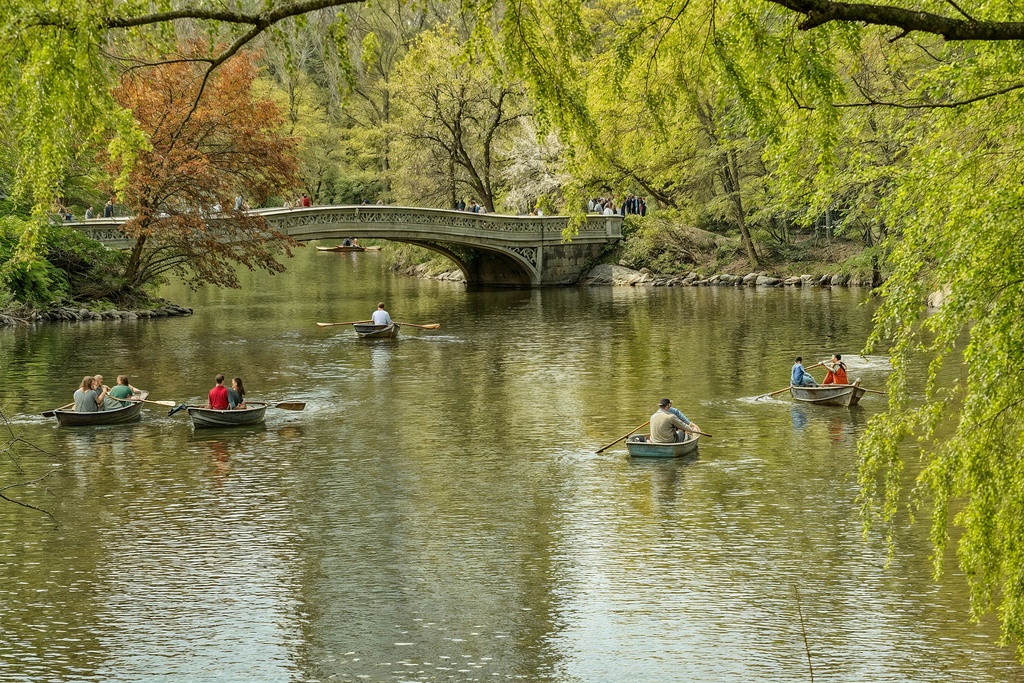 Rowboat Tours