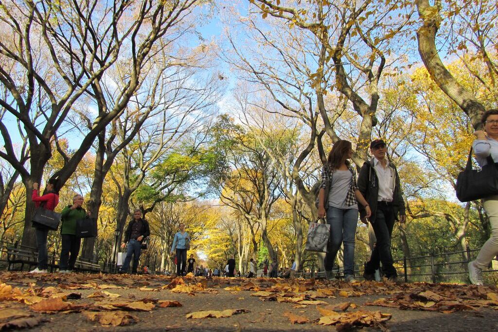 Walking Tours